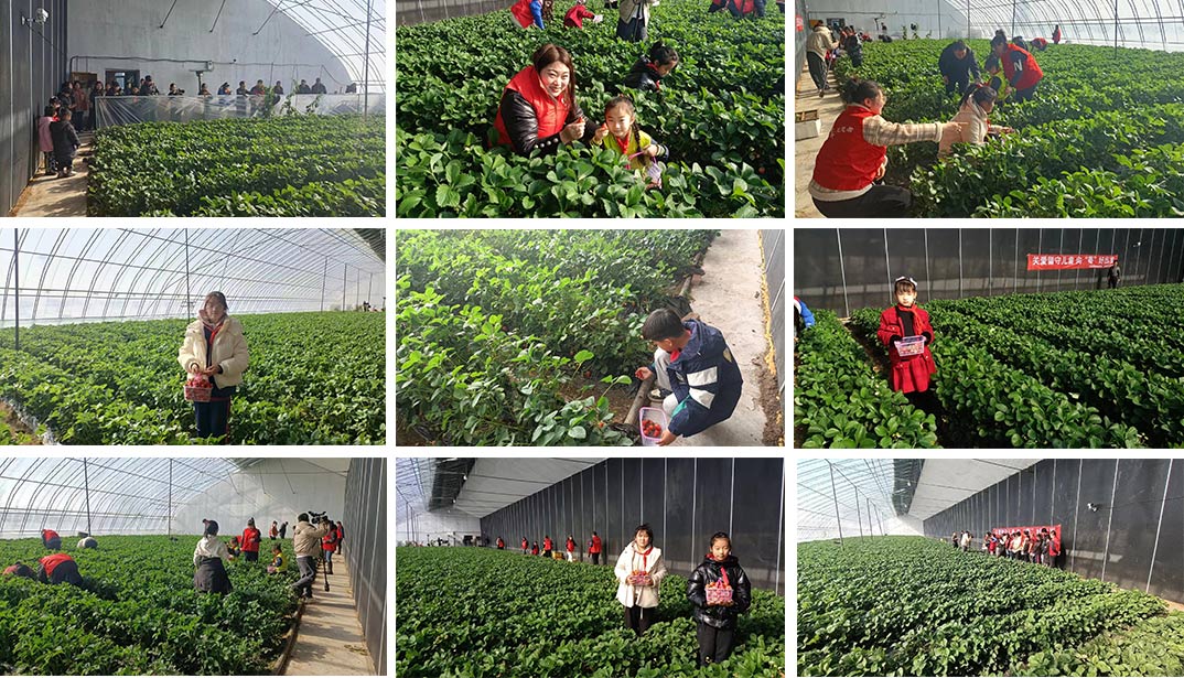 1711004372127735.jpg 1.jpg